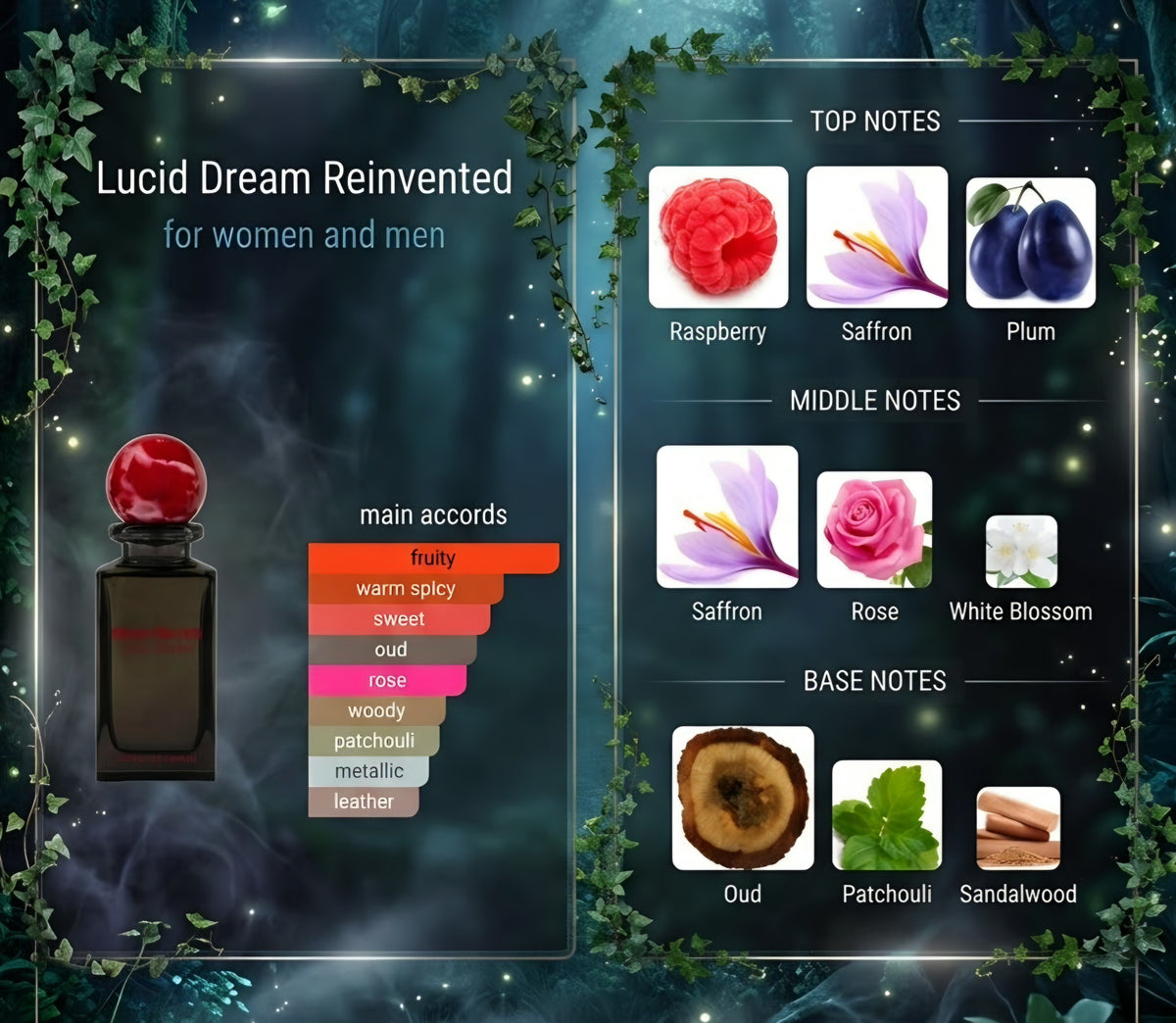 Reinvented Lucid Dream extrait