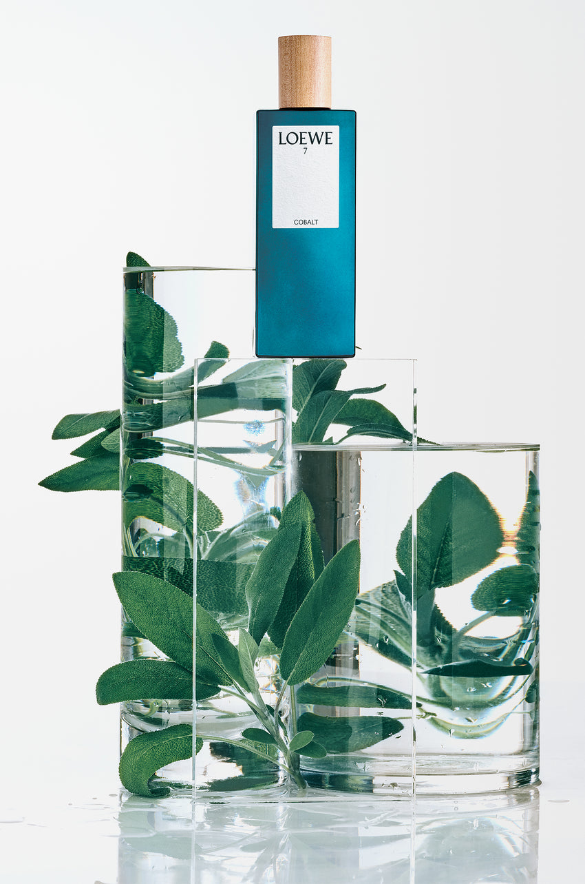 Loewe Cobalt 7 eau de parfum