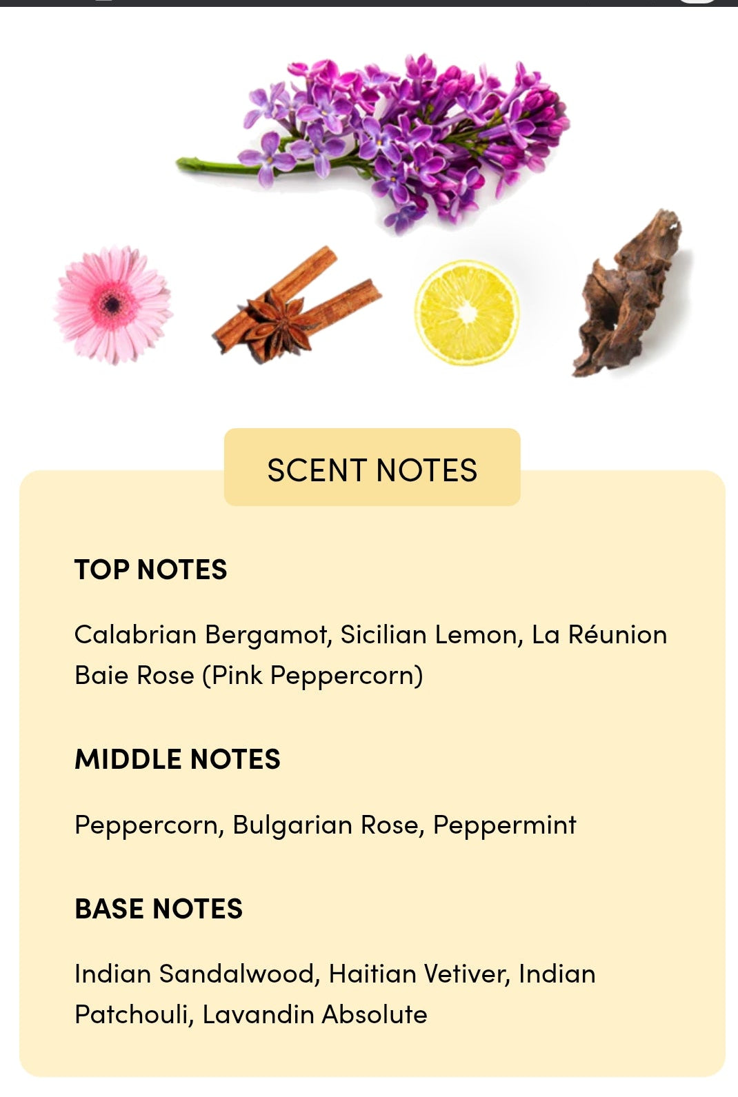 Insurrection – Born To Be Great Eau de Parfum by Reyane Tradition  Description: Born To Be Great by Reyane Traditions 8ml