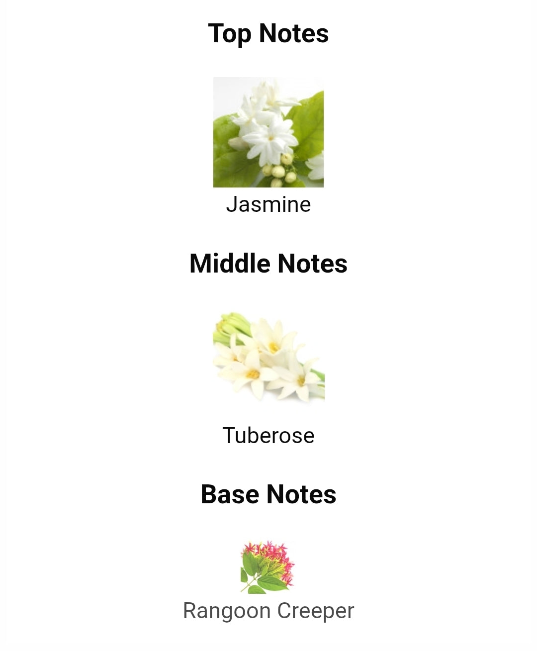 Gucci Bloom eau de parfum 8ml