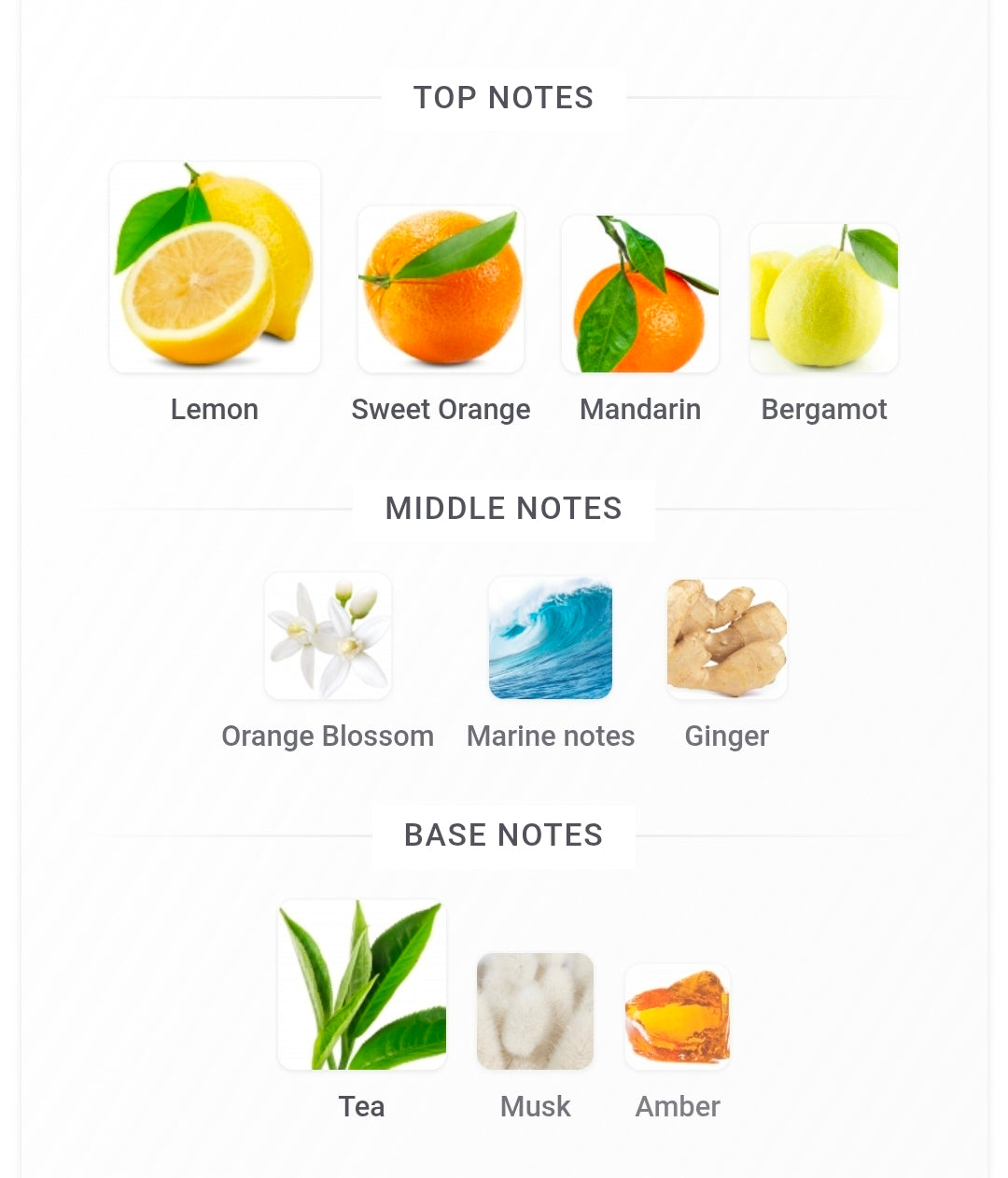 Armaf Odyssey Limoni eau de parfum 8ml