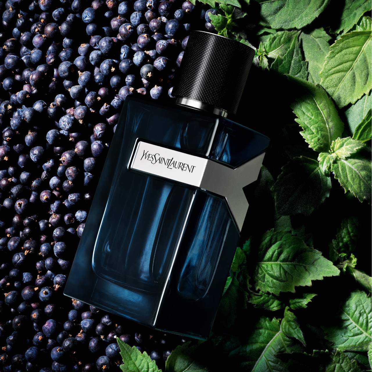 Yves Saint Laurent Y Intense 8ml